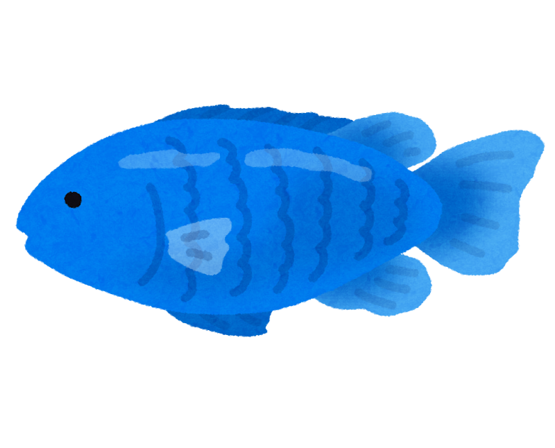 ルリスズメダイのイラスト(熱帯魚)