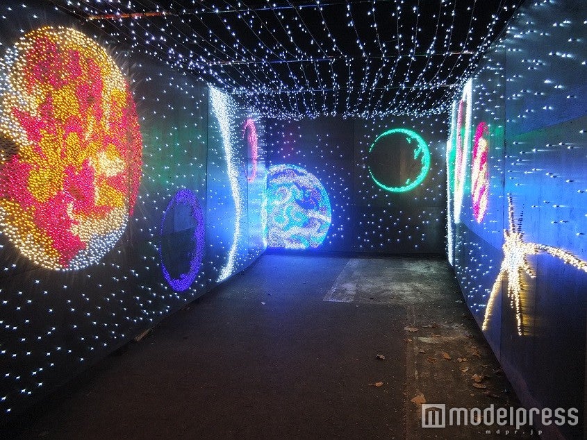 トレジャーSTAGE／画像提供：東武動物公園