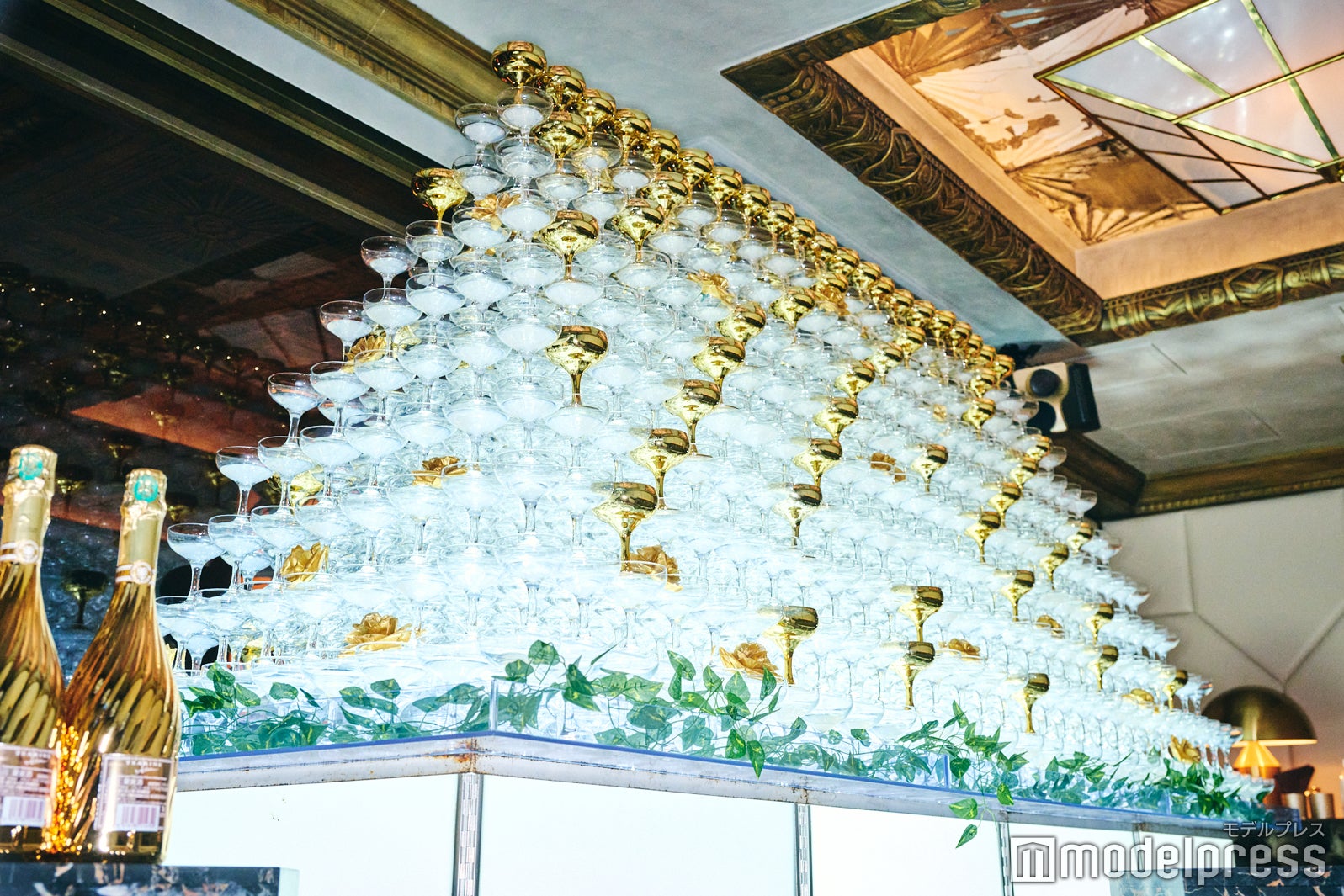 ライトアップで幻想的な雰囲気に（C）モデルプレス