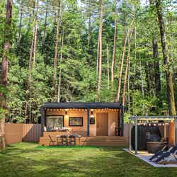 ふじ・ふもとの森/提供画像