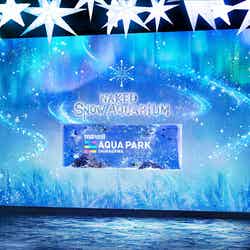 ブライト スノウ/画像提供:横浜八景島