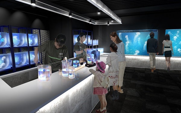 新展示エリア（イメージ）／画像提供：京都水族館