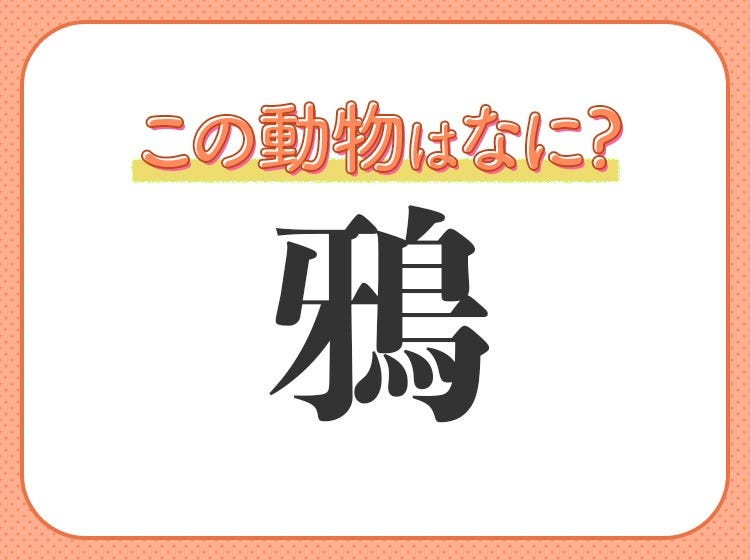 鴉 はなんて読む とても身近な鳥の名前です モデルプレス 鴉 はなんて読む とても身近な鳥の名前です モデルプレス
