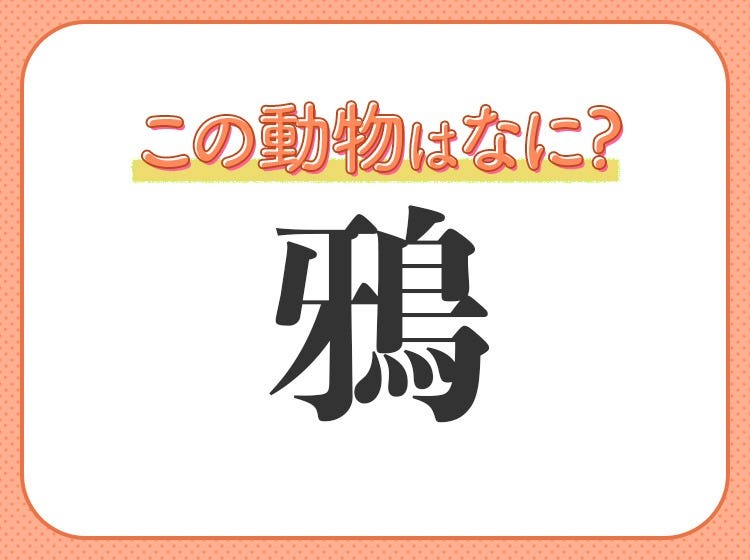 鴉 はなんて読む とても身近な鳥の名前です モデルプレス