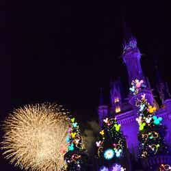 シンデレラ城のライトアップと花火の競演にうっとり／東京ディズニーリゾート30周年“ザ・ハピネス・イヤー”