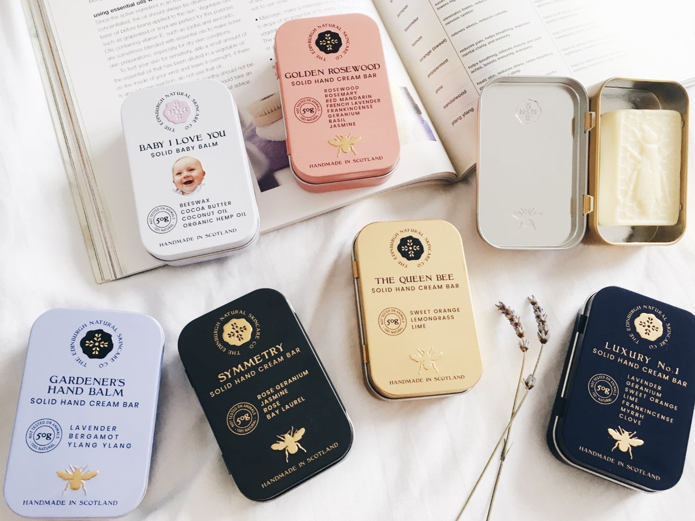 画像提供：ビー・エフ・シー