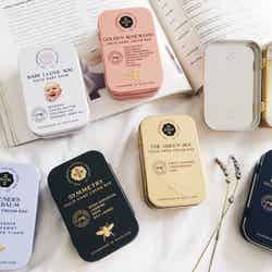 画像提供:ビー・エフ・シー