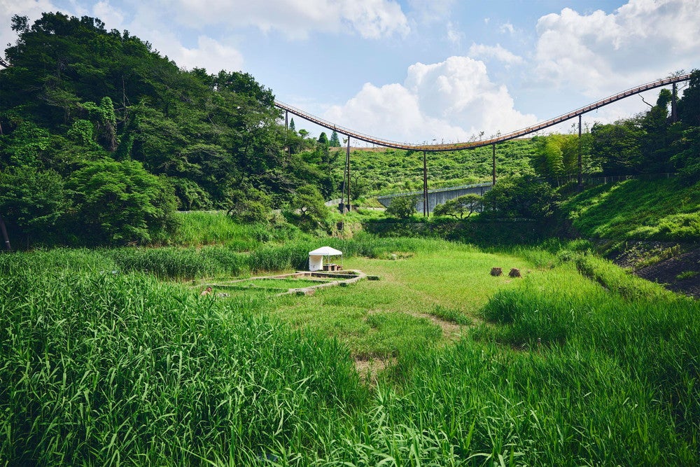 ポケモンワンダー／画像提供：ポケモン