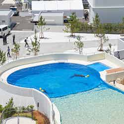 神戸須磨シーワールドホテル/提供画像