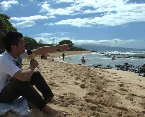 意外に知らない!ハワイ・マウイ島のお洒落タウン&ビーチって?