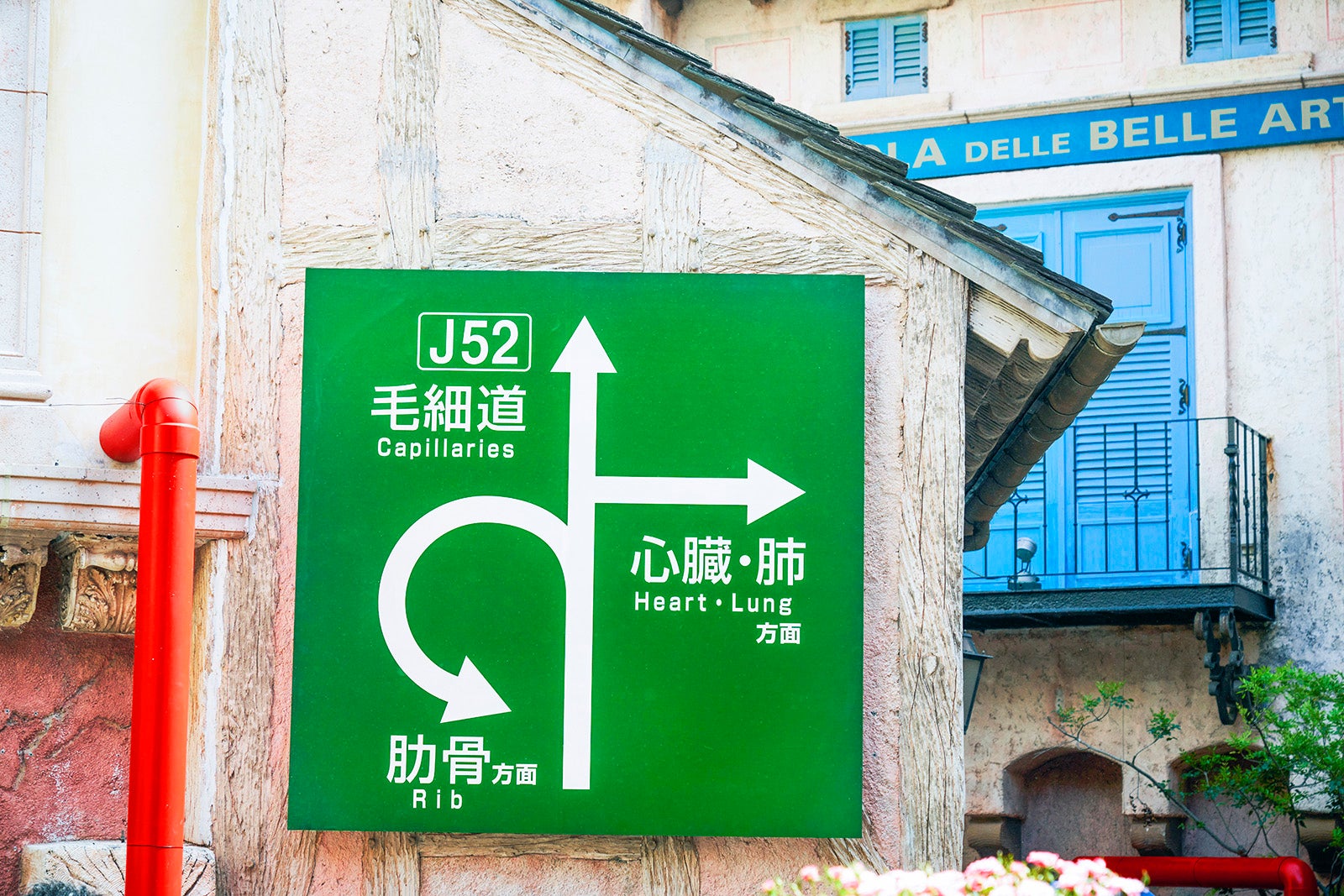 「はたらく細胞」（C）清水茜／講談社（C）原田重光・初嘉屋一生・清水茜／講談社（C）2024映画「はたらく細胞」製作委員会