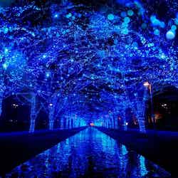 渋谷で幻想的な“青の世界”に浸る「青の洞窟 SHIBUYA」巨大雪だるまの新演出も、12月25日まで