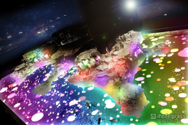 巨大ペンギン水槽にプロジェクションマッピング　都心の水族館で2つの新展示