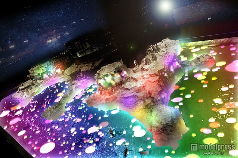 巨大ペンギン水槽にプロジェクションマッピング 都心の水族館で2つの新展示