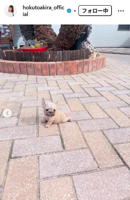 北斗晶Instagramより