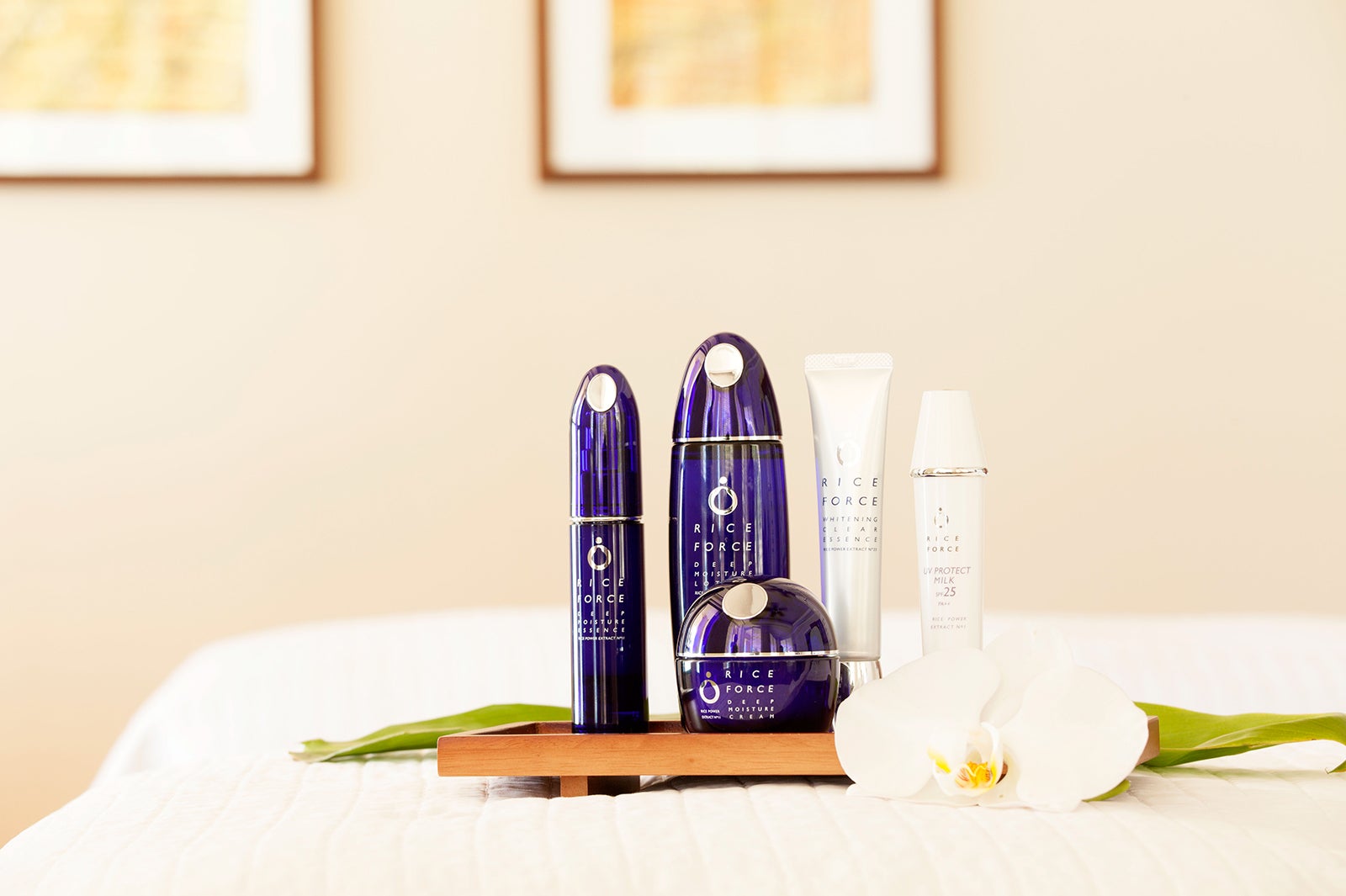 「うるおい満足」「キメが整った」「ハリ・弾力」「化粧ノリ」の満足度が90％以上（※2）