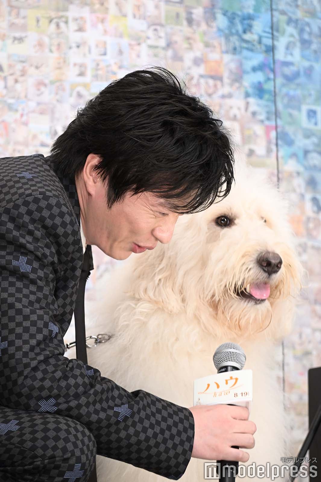 田中圭、ベック （C）モデルプレス