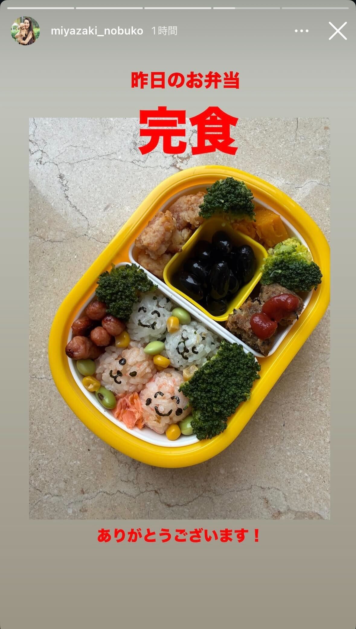 宮崎宣子Instagramストーリーズより