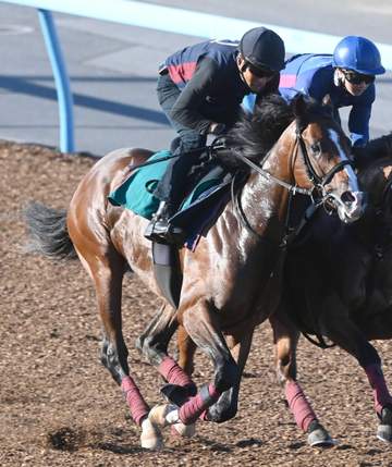 【新馬戦】コナパームス 仕上がり上々 森一師は心肺機能の高さを絶賛「長くいい脚を使う感じ」