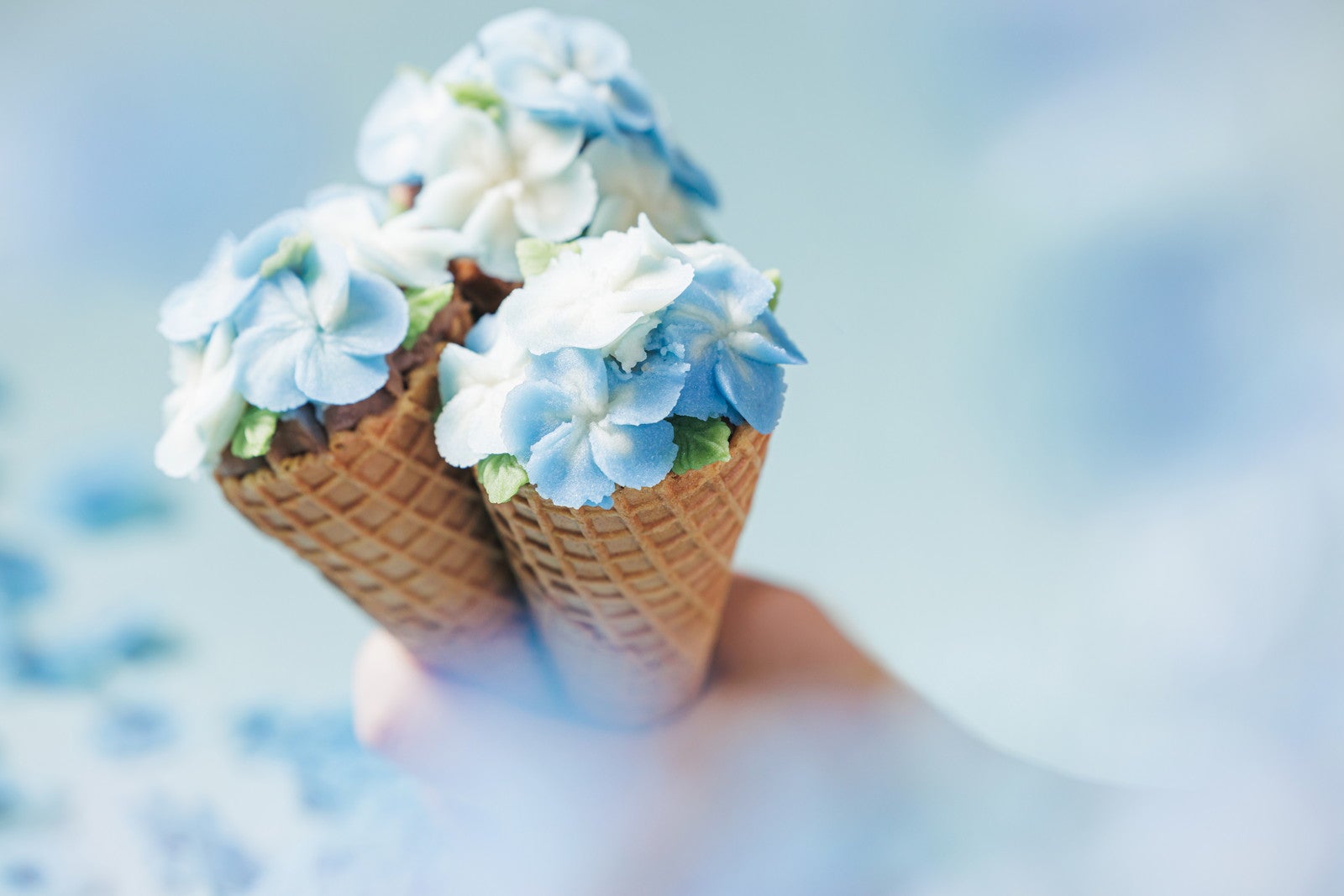 いつでもネモフィラブルーミング／提供画像