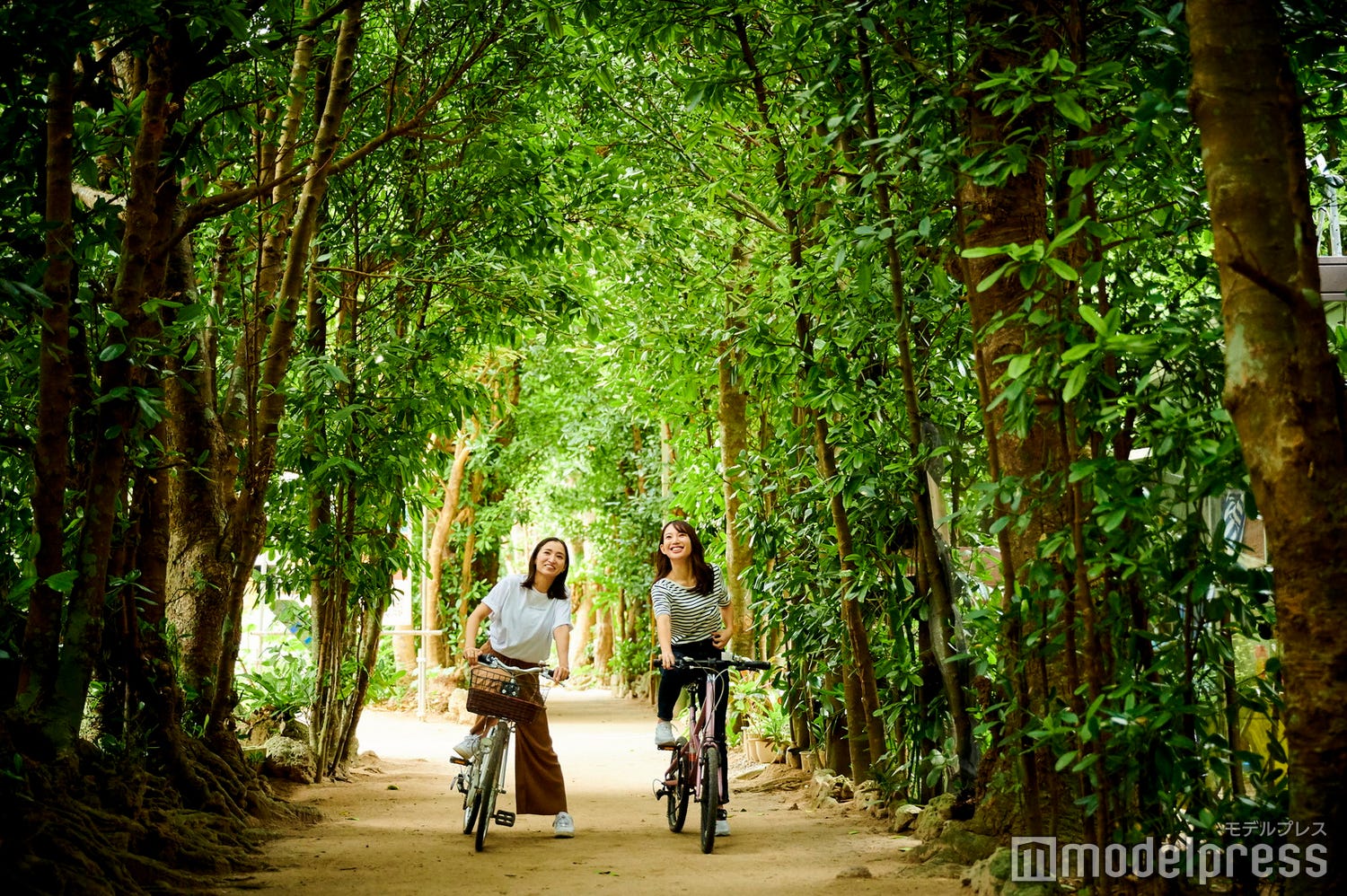 次の沖縄旅行は北部観光へ!車の免許なしでも楽しめるおすすめスポット