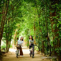 次の沖縄旅行は北部観光へ!車の免許なしでも楽しめるおすすめスポット