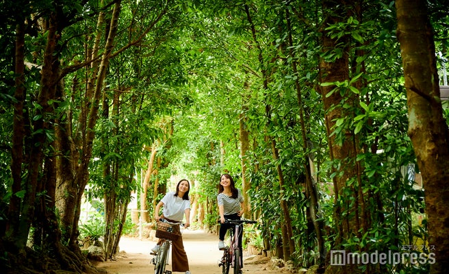 次の沖縄旅行は北部観光へ 車の免許なしでも楽しめるおすすめスポット 女子旅プレス 次の沖縄旅行は北部観光へ 車の免許なしでも楽しめるおすすめスポット 女子旅プレス