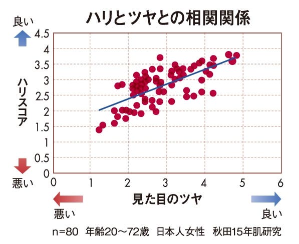 ハリとツヤとの相関関係