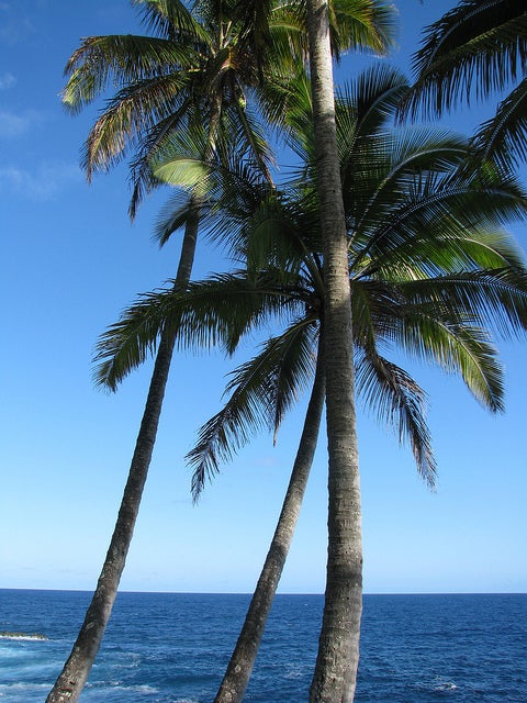 “幸せになれる”ハワイの魅力が明らかに／Hawaii Vacation 2010
by merfam