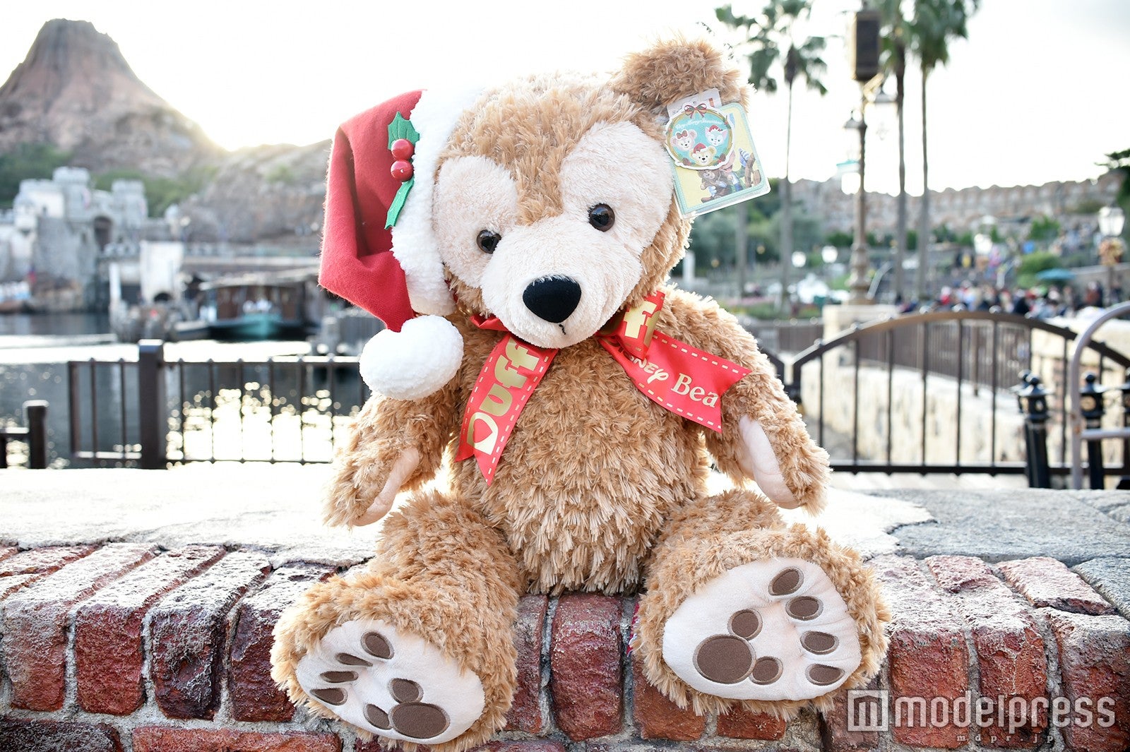 ぬぐるみ（M）¥13000（C）モデルプレス