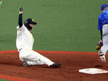阪神 中野が通算100盗塁を達成 五回に二盗に成功 プロ1年目の21年に盗塁王