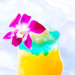 ハワイアンスタイル・スペシャルドリンク(C)Disney