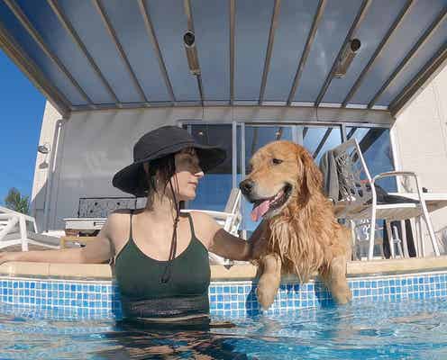 茨城に愛犬と泊まれるプールヴィラ「FINE GLAMPING Doggies Pool Villa」が誕生