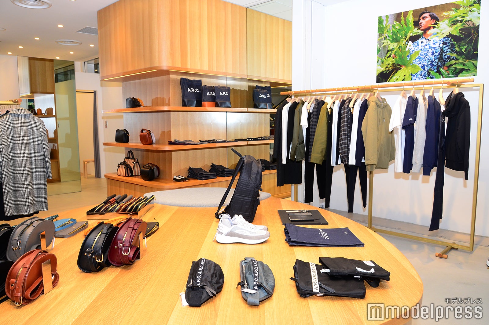 アー・ペー・セー（C）モデルプレス