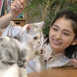  「もふもふクラフト」より、岡本玲が愛猫のために猫じゃらし作りに挑戦 （C）NHK
