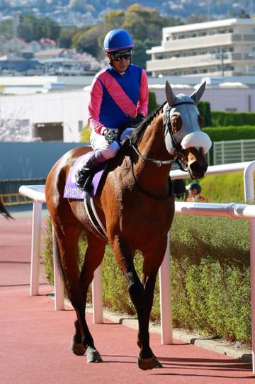 【大阪杯】メイショウタバル惜敗2着 完璧レース運びも直線で涙 武豊「やりたいレースはできた」