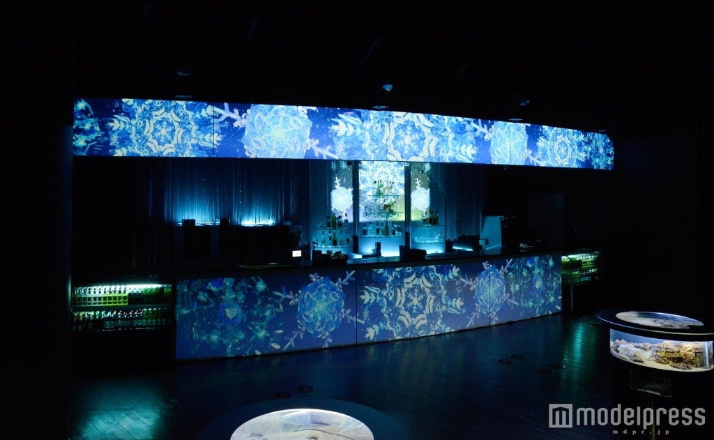 フローズンコーラルバー／画像提供：横浜八景島