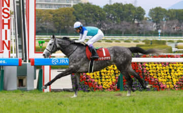 【阪神大賞典】武豊が1番人気アドマイヤテラで前人未到のデビューから40年連続のJRA重賞制覇「ずっと続けていきたい」