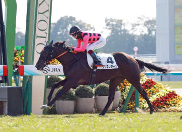 【新馬戦】良血クリスレジーナが逃げ切りV 母にファンディーナ 鮫島駿は将来性に期待「トップ戦線に乗せたい馬」
