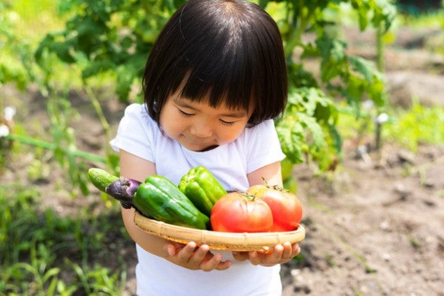 【関西】子連れでおでかけ！子どもも大人も楽しめる「人気スポット」7選