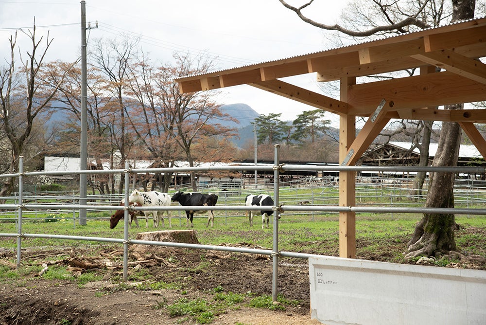那須千本松牧場／提供画像