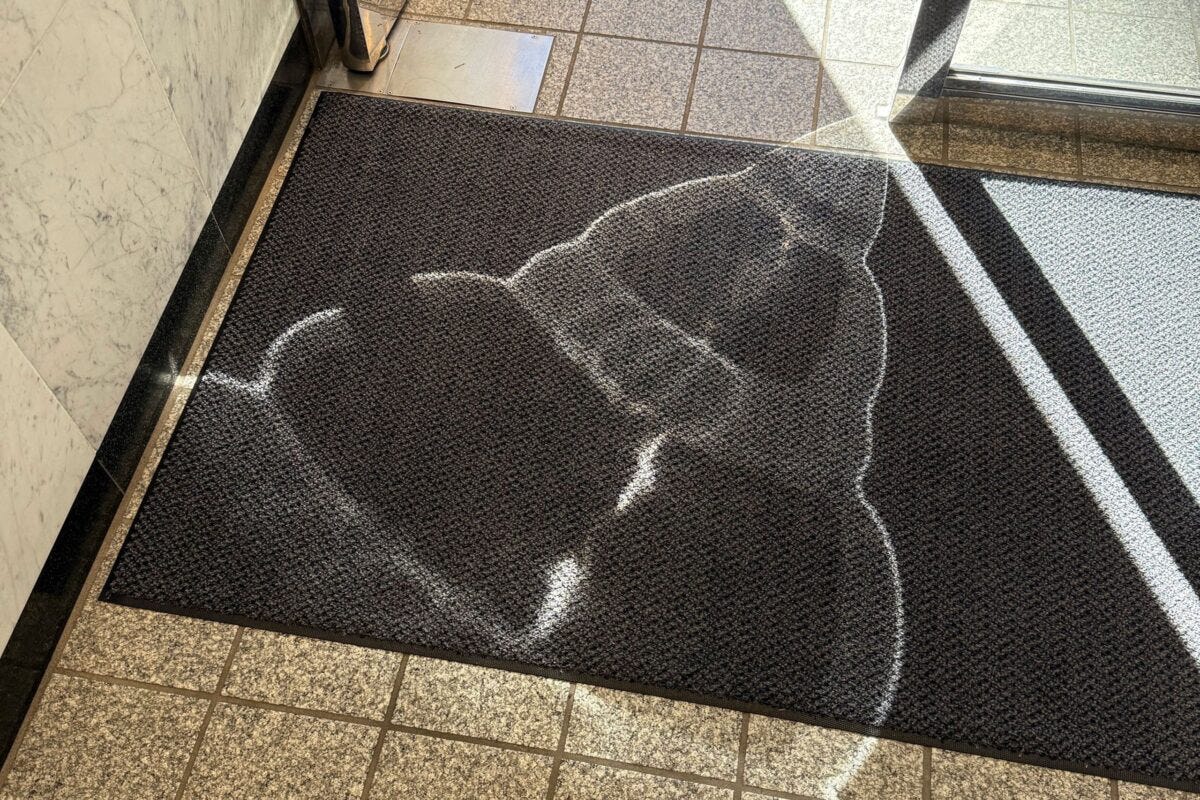 クリスタルうんこ