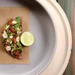 覇王樹 タケリア/提供素材