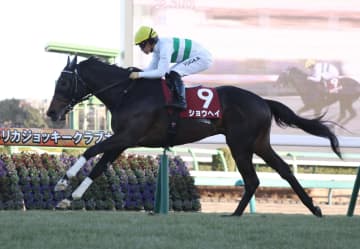 【AJCC】3番人気のショウヘイが好位抜け出しで重賞V2