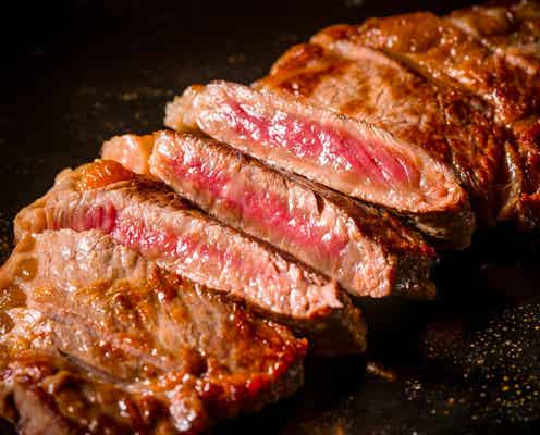 肉好きよ、集結!「肉祭2025in日比谷公園」彩り豊富な肉料理やドリンク、スイーツまで堪能