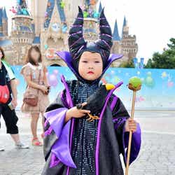 「眠れる森の美女」のマレフィセント(Nico)