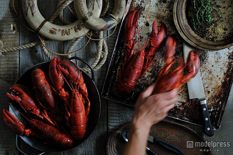 釣り上げた後のルートがわかるロブスターを使用／画像提供：ベイクルーズ