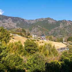 Surf Republic湯河原万葉公園 IZUMI Forest ソロ・グランピング/提供画像