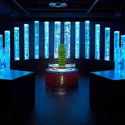 夏のアートアクアリウム~金魚で夏を感じる、涼~/画像提供:アートアクアリウム製作委員会