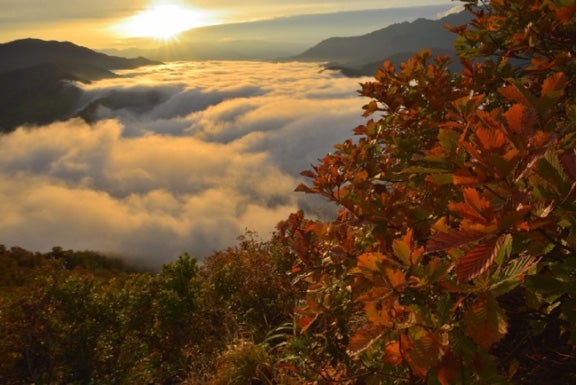 枝折峠／提供素材